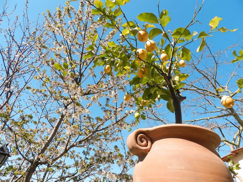 Bacio Del Sole B&B Positano Bagian luar foto